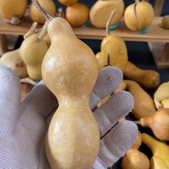 童****机葫芦葫芦花叶