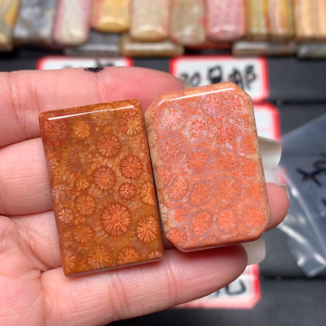 【闪购商品】未镶嵌颈饰硅化玉蒙****艺