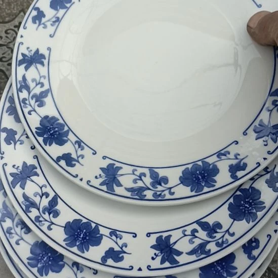 瓷片陶瓷盤子碗啥都有