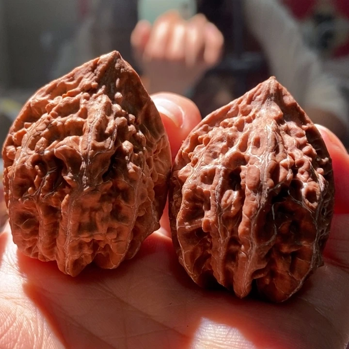 吊坠文玩核桃大肚豆粒楸玥核5微差尺