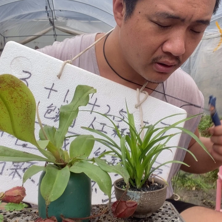 退款拉黑一物一拍82