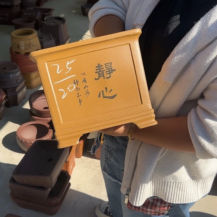是因为她没有那么坚强