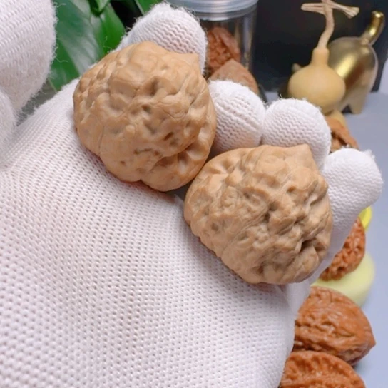 核桃三角型全品无修古蝉