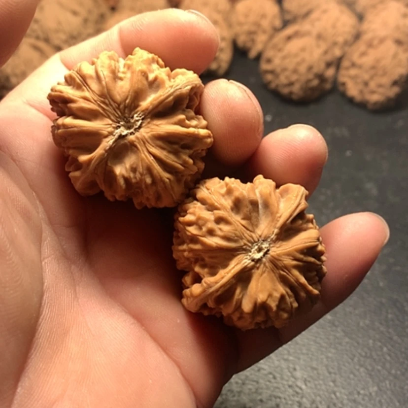 【闪购商品】一**道卧龙粗筋