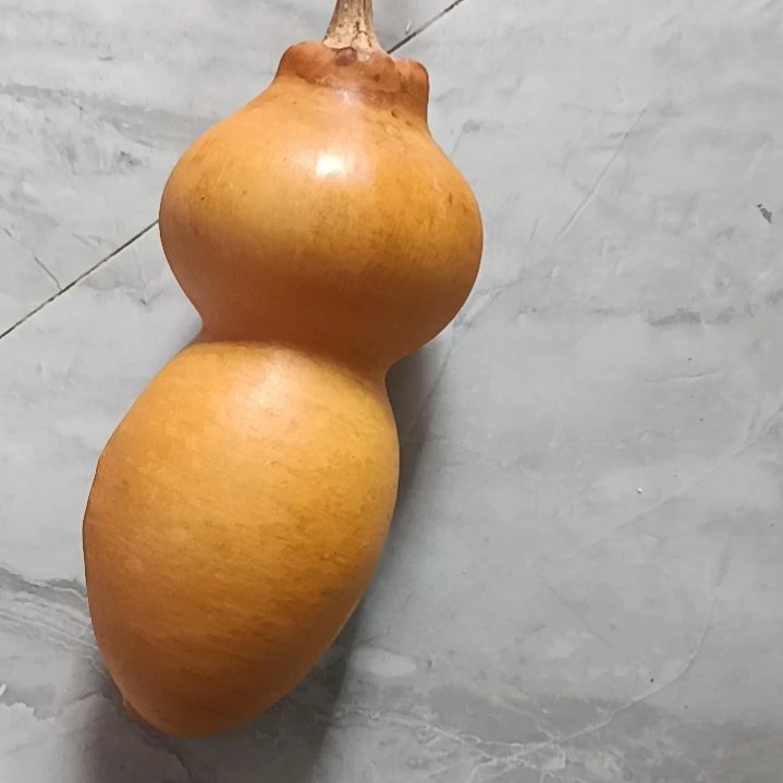 t****o葫芦好看葫芦好看葫芦好看