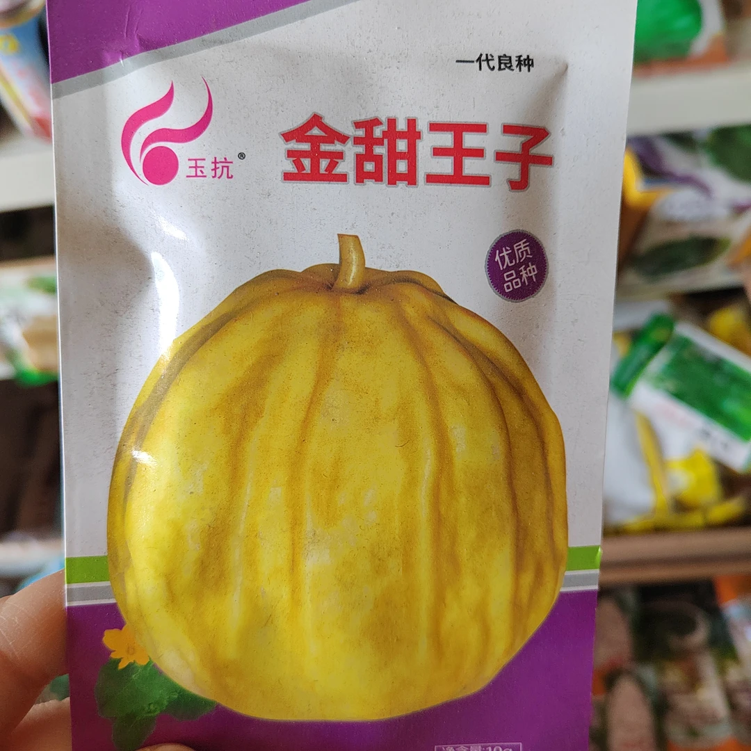 金甜王子甜瓜种子皮淡黄色果肉厚脆嫩多汁味香甜适应强经济效益高