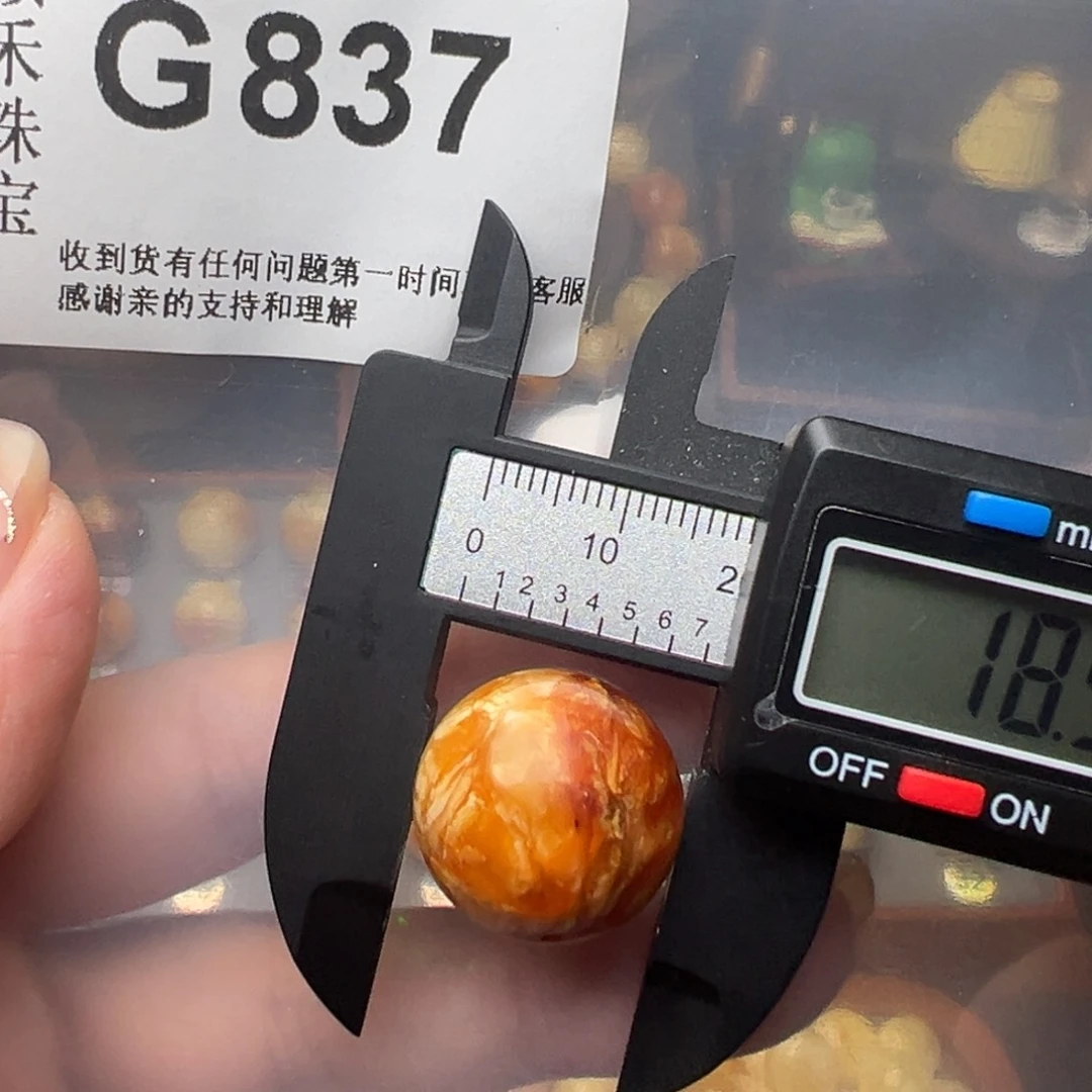 琥珀裸石未镶嵌琥珀裸石未镶嵌19