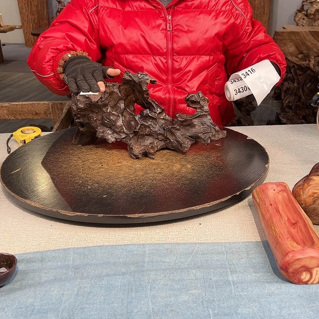 木永**居3417 gvgcgcgcgvgcgvg