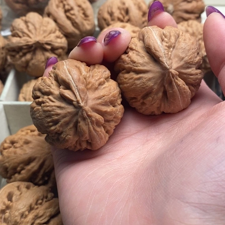 男***生文玩核桃吊坠霸王龙