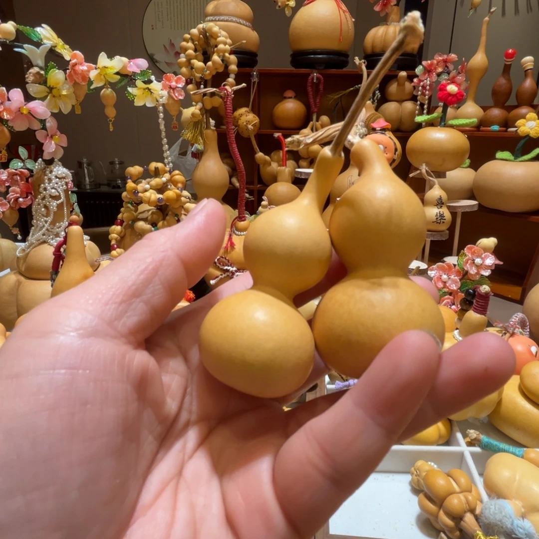 花***夏放漏葫芦真好看嗯嗯