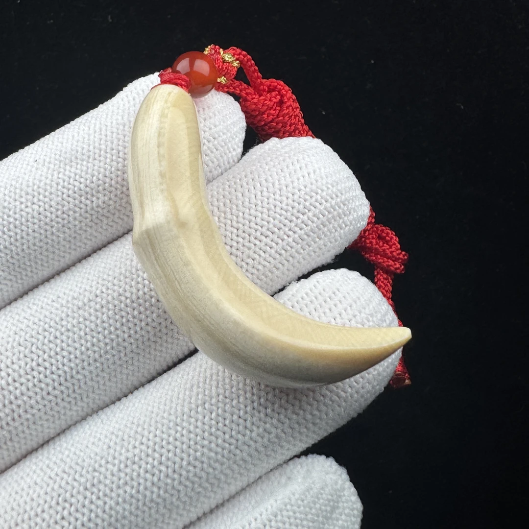 L4641天然猛犸牙 牙尖43.3mm支持鉴定假一罚十