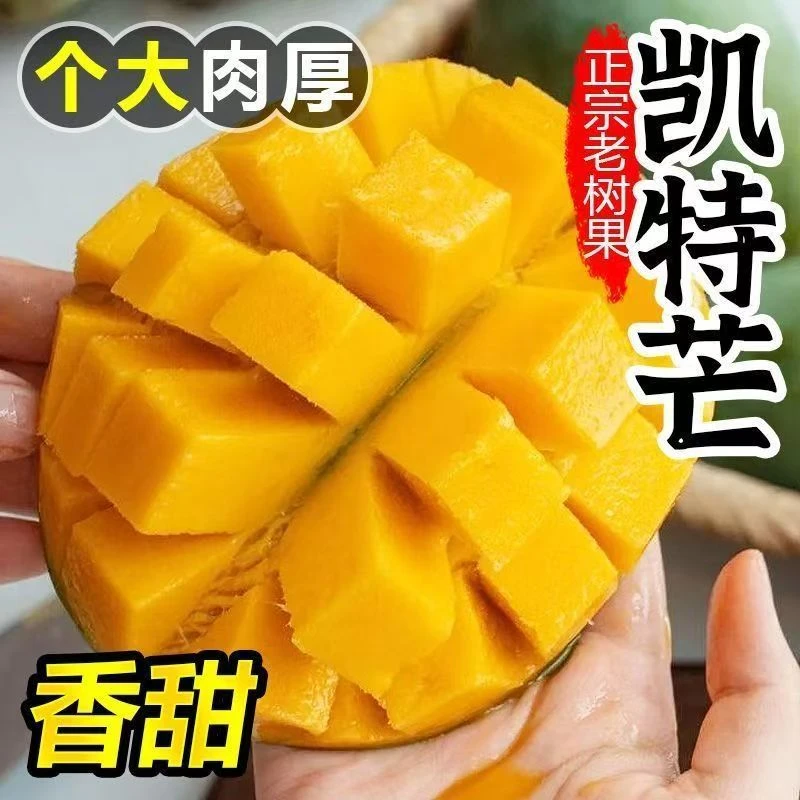 Q【坏果包赔】攀枝花凯特芒带箱5斤大果400g+到手3-6个催熟食用