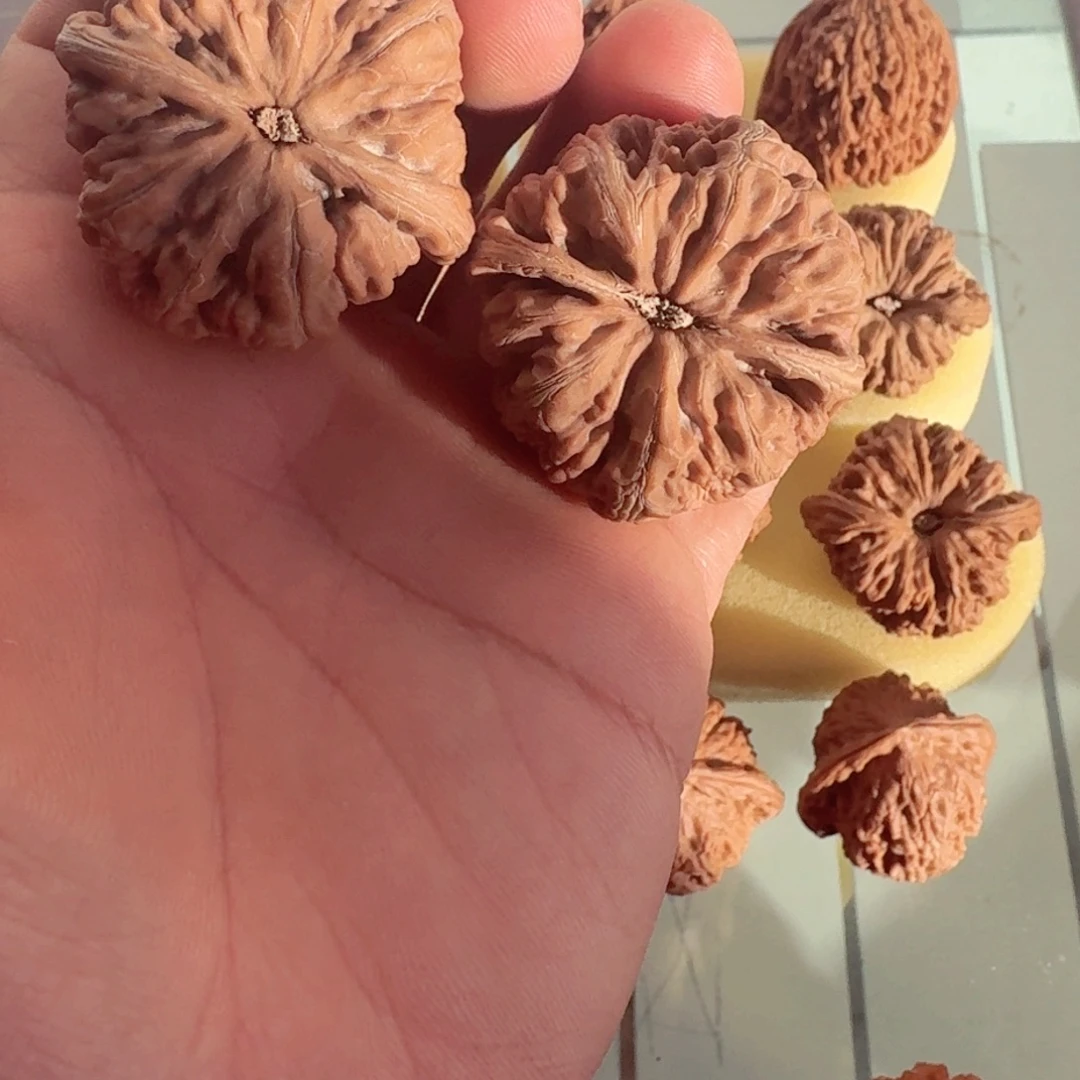 核桃文玩核桃大粗筋41