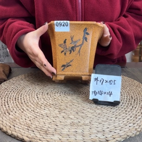 紫砂花盆柴烧单线枇杷手绘切角四方0920