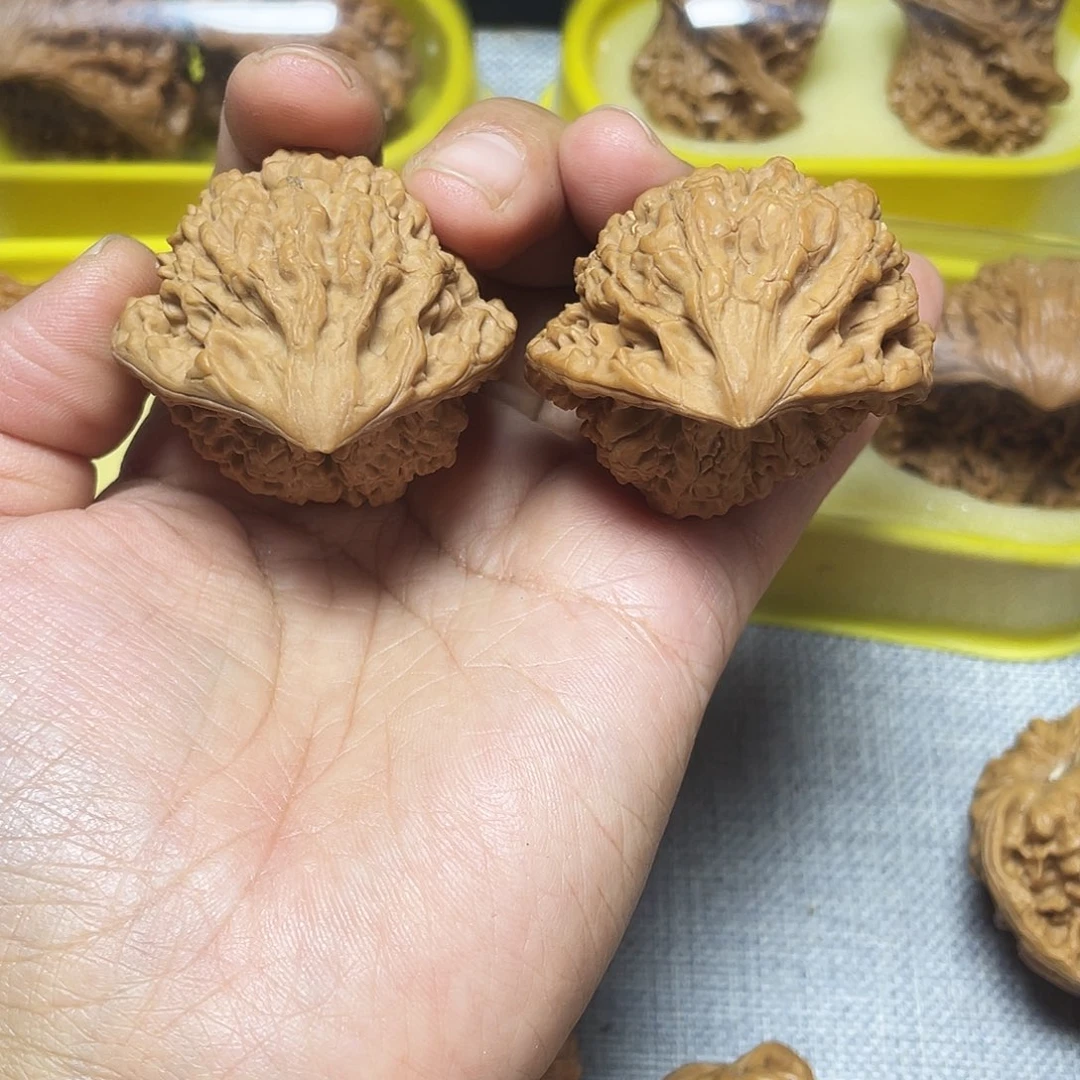 木质类蛇头43尺寸