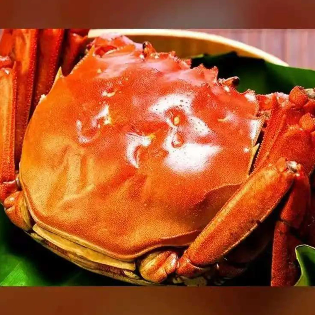 2.8～3.0两/母蟹共10只螃蟹