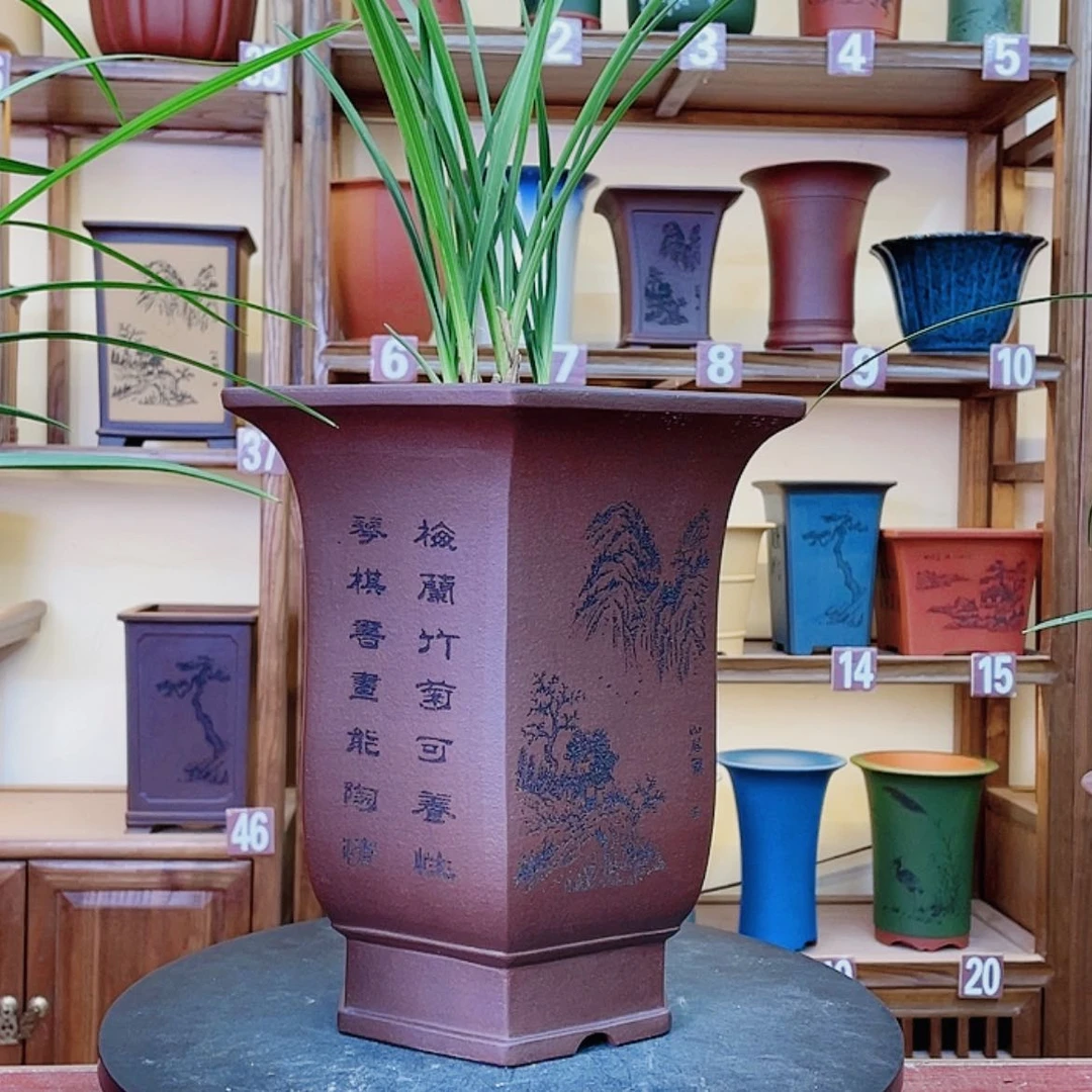 【闪购商品】紫砂花盆兰花456665552587455988