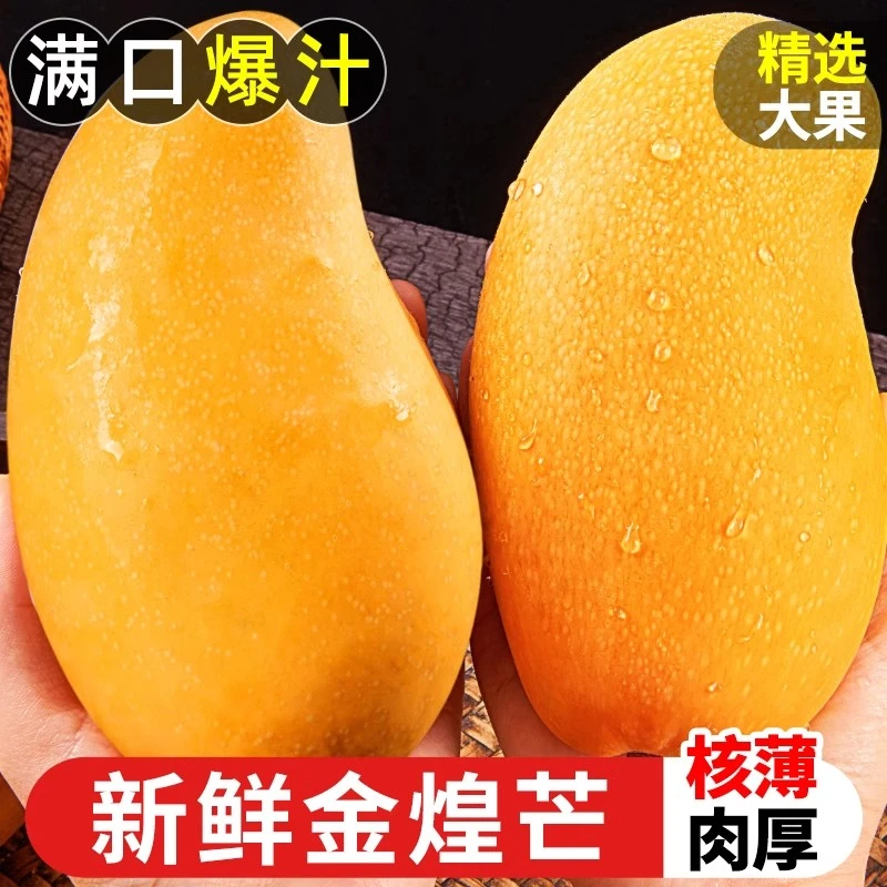 L【放软吃更甜】【青黄皮随机发】广西大青芒新鲜水果黄皮大金煌芒