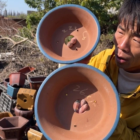 紫砂花盆特价包邮秒杀，