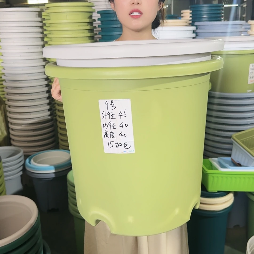 微瑕9#口径46无拖果绿3个