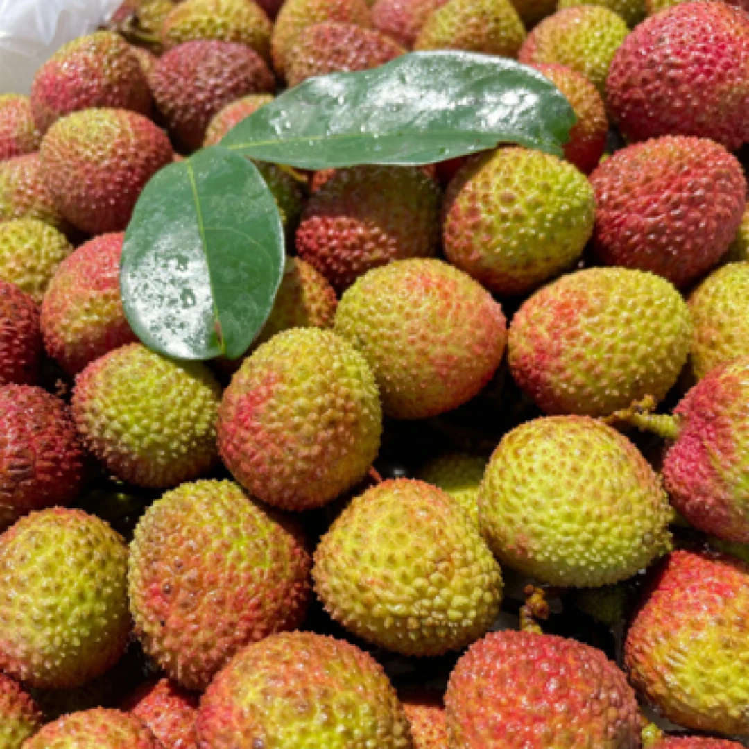 海南特级荔枝妃子笑纯甜无酸（1kg）荔枝同城送海南省
