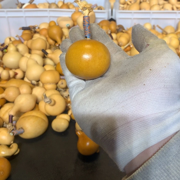 金蟾在水边游荡荡一