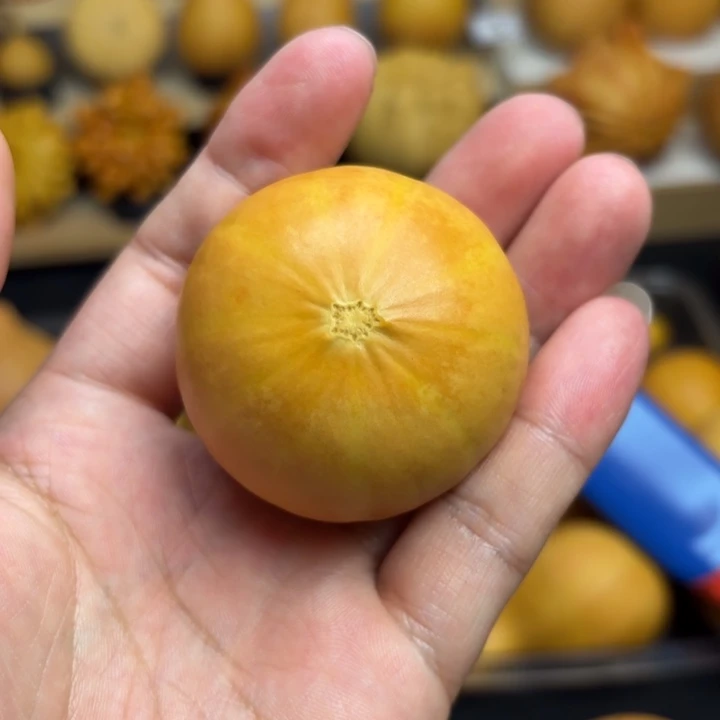 潘**妆葫芦福利初五发货