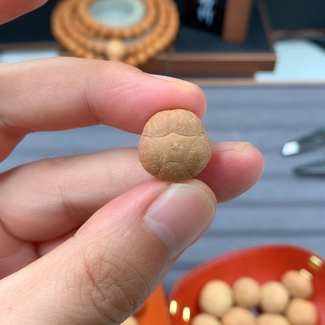 手串凤眼菩提16+五星，非质量问题开孔不退