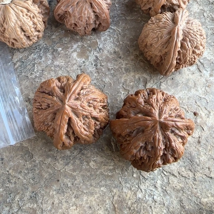 花***—把件文玩核桃大粗筋