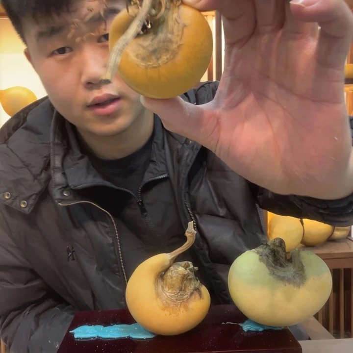 飞****大叶紫檀（黑酸枝木类）