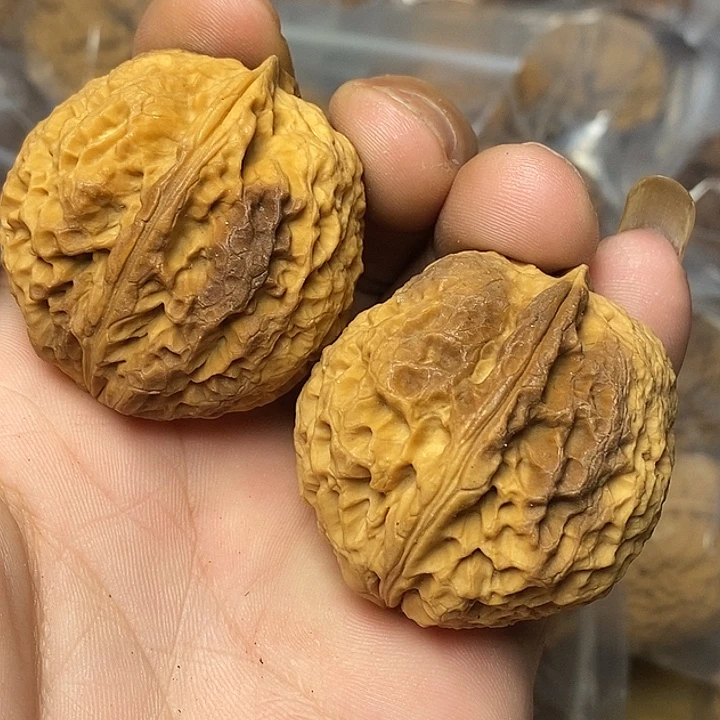 文玩核桃把件云南铁核桃10号41mm