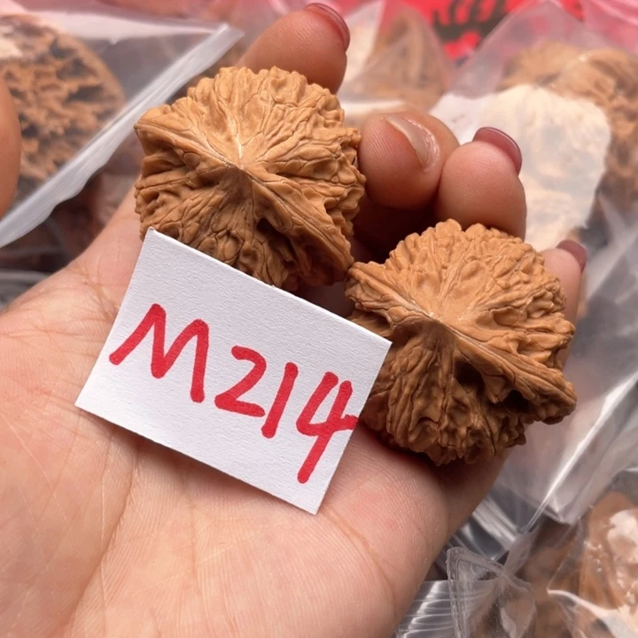 文玩核桃把件玉龙