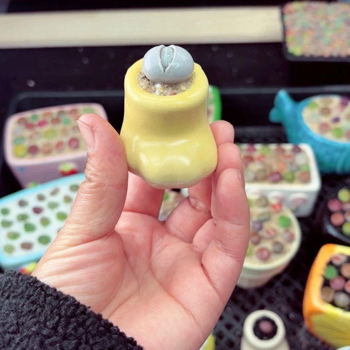 532零下地区记得拍保温箱满18包邮