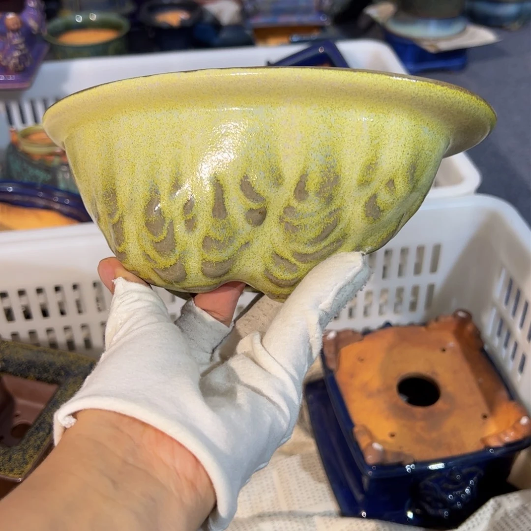 觉象钧创盆景艺术