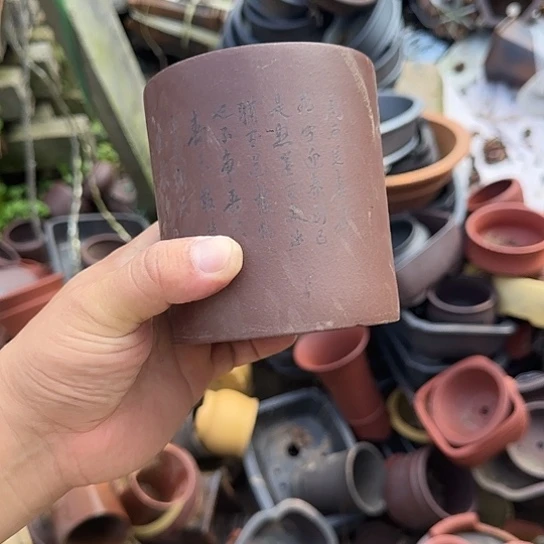 我想说什么我会和他们商量我想