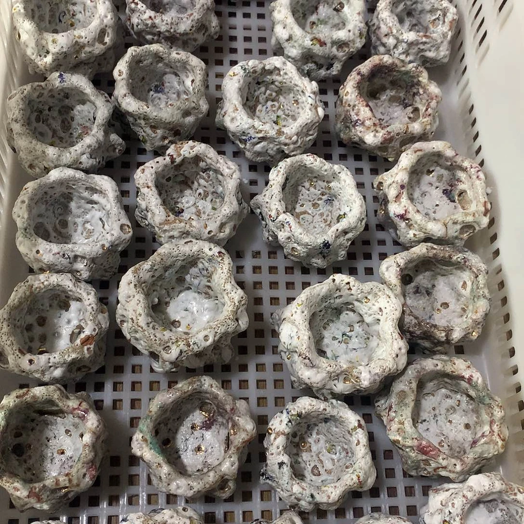 冬至特惠！福利多多！