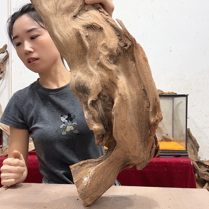 柏木骑***驴我们的生活也