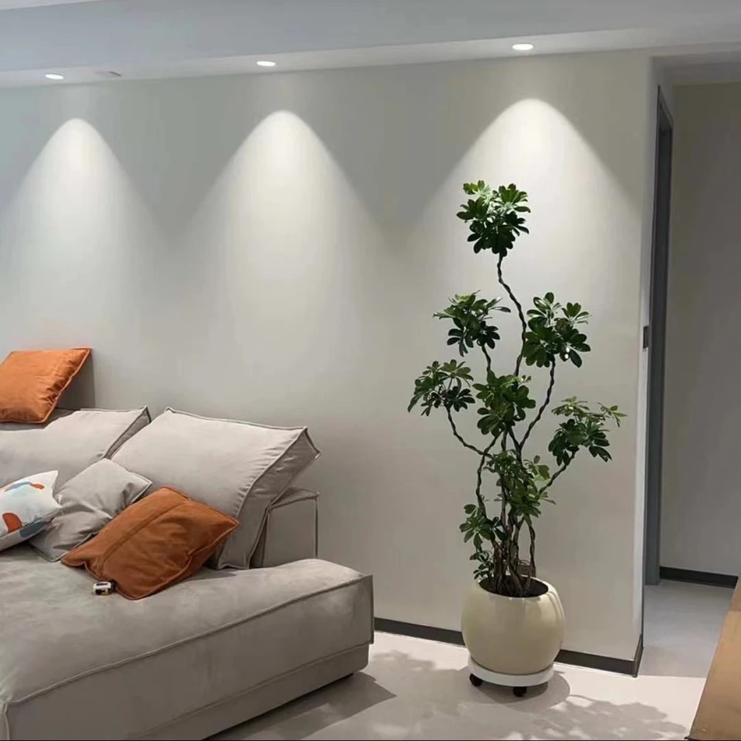 造型鸭脚木大型室内绿植净化空气美观大气四季常青