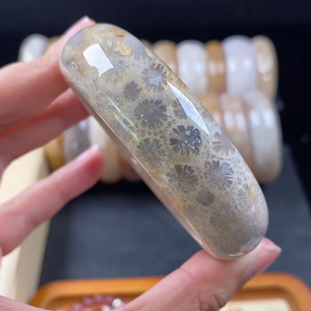 硅化珊瑚（珊瑚玉）手镯57未镶嵌