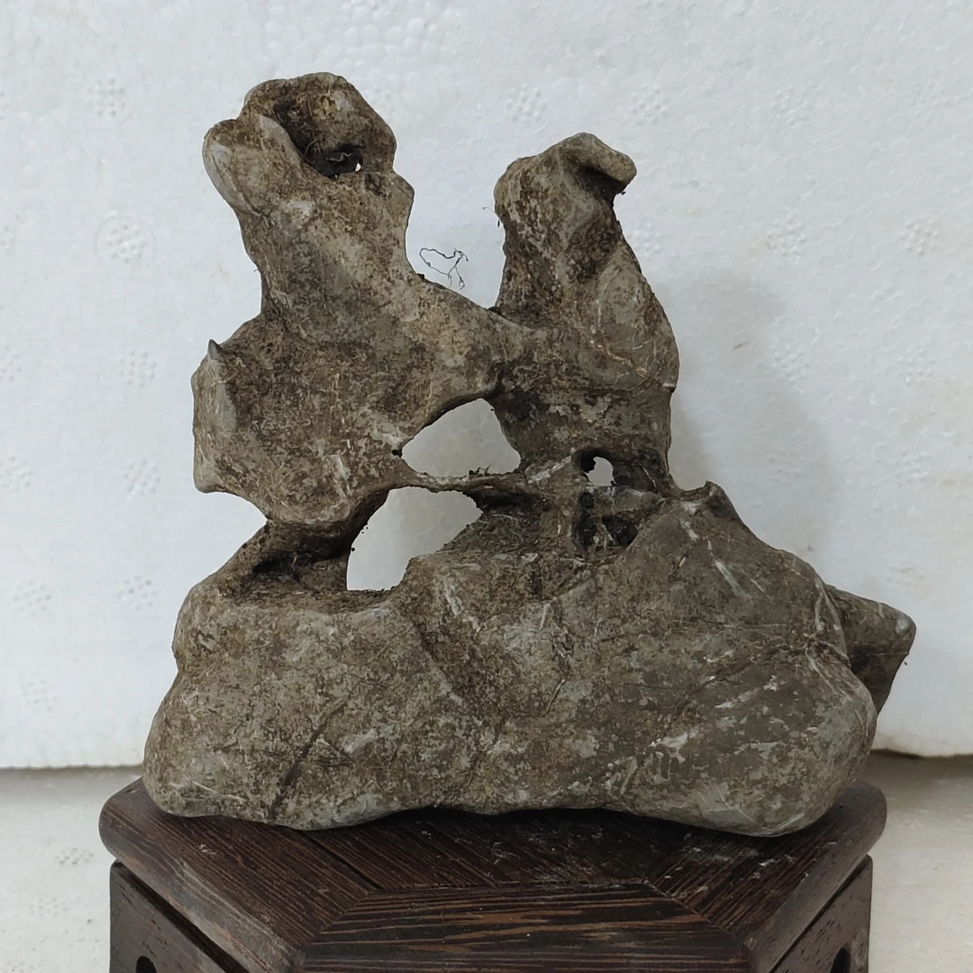 附石鱼缸石可作盆景装饰直播间一物一拍