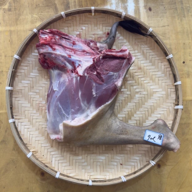 云南小耳朵黑山羊  后腿