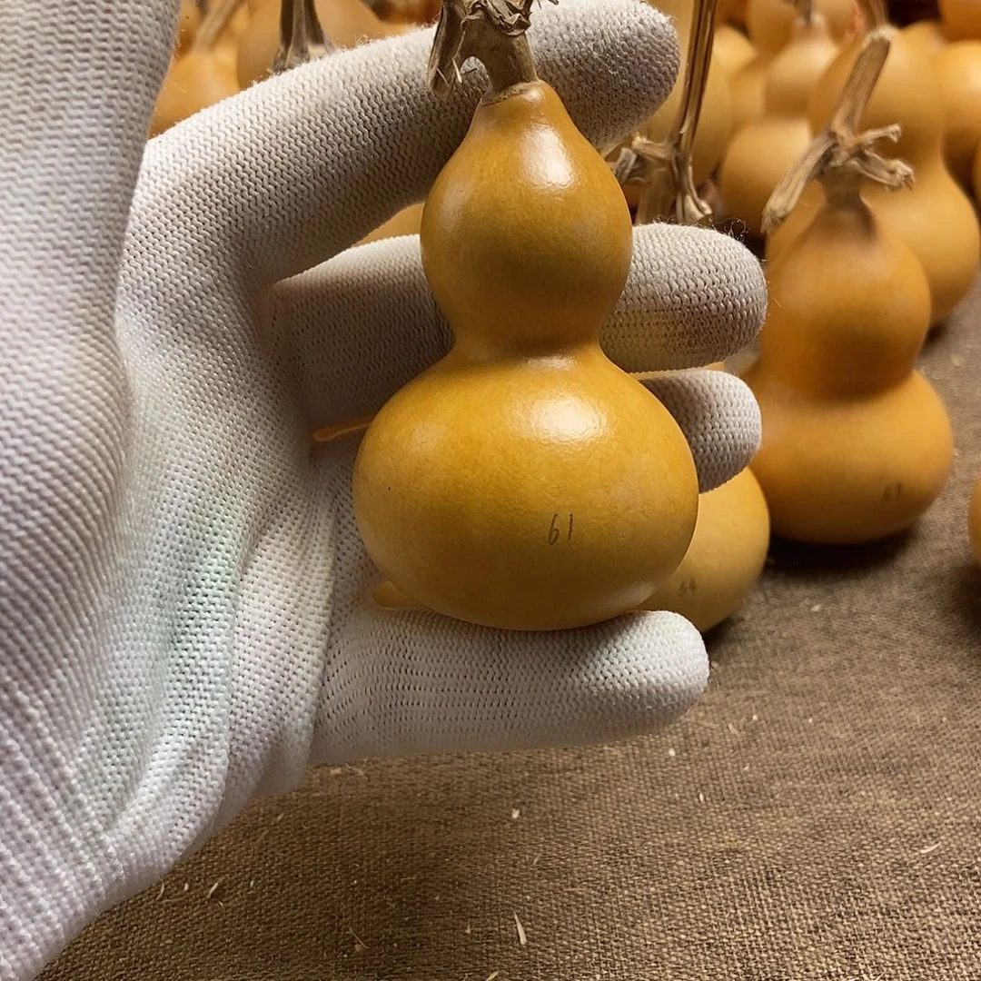文玩葫芦 完美主义者 慎拍61