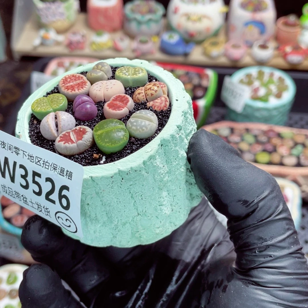 夜间零下地区拍保温箱w3526