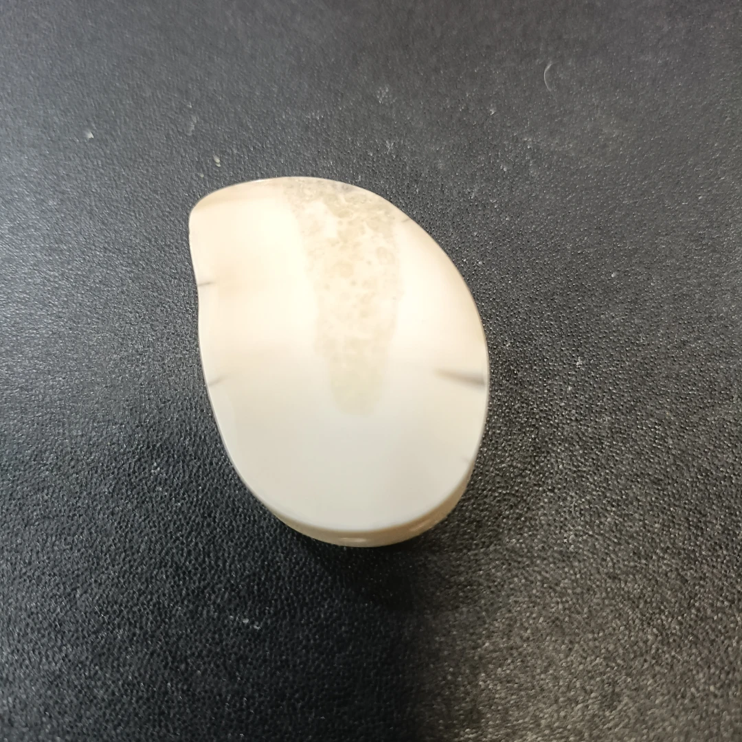 猛犸猛犸虬饼子WW699