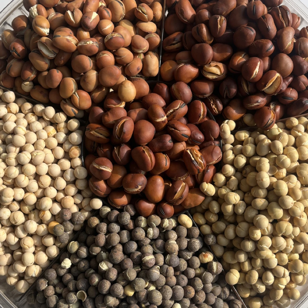 西北干炒蚕豆传统炒货休闲零食香酥可口