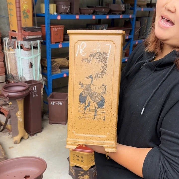 花盆紫砂这是我的