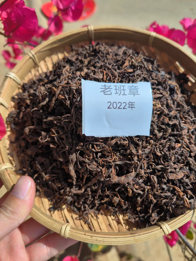 2022年老班章乔木离地熟茶散料100克-200克—500克