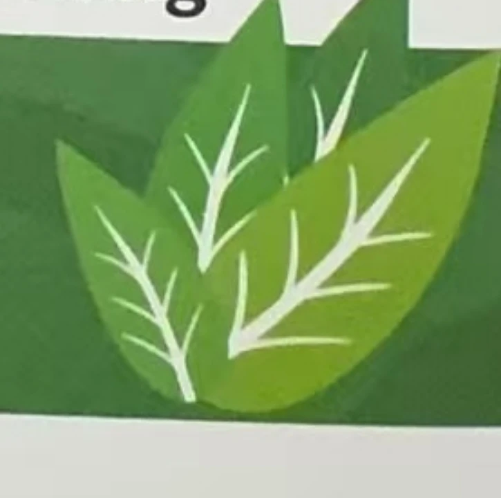 淸康制作创意DIY模型 【TT专属】