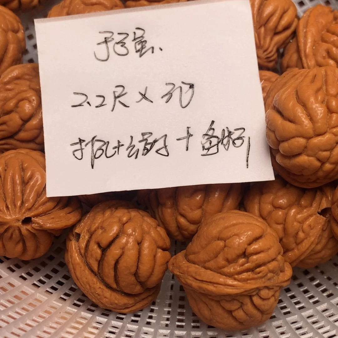 龙纹桃核霸王龙—