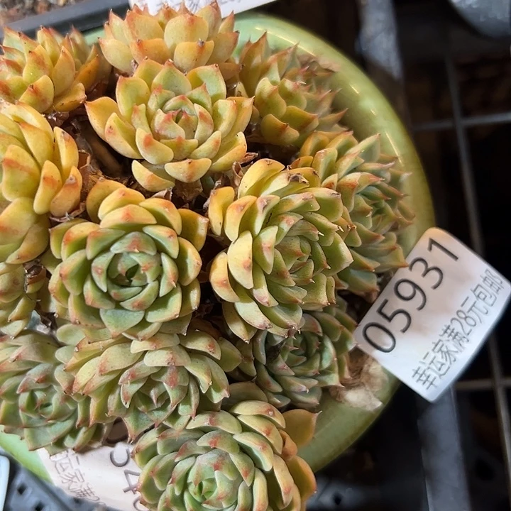 幸运的是我还没遇到